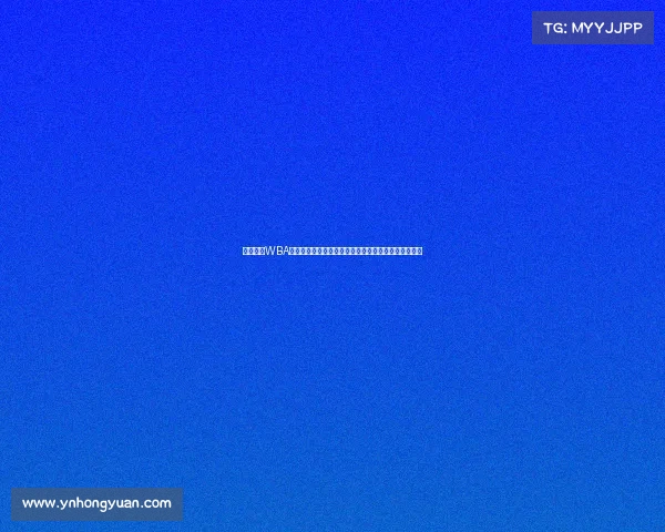 全面探索WBA世界拳击协会赛事体系的组织结构规则制定及比赛流程