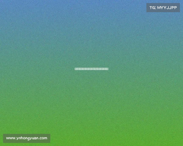 合肥赛事承办助力城市体育产业发展与国际化提升